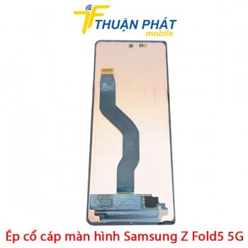 ep-co-cap-man-hinh-samsung-z-fold5-5g