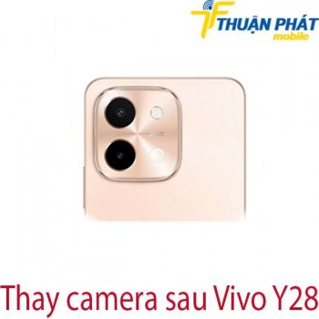 thay-camera-sau-Vivo-Y28