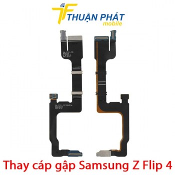 thay-cap-gap-samsung-z-flip-4