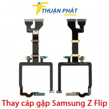 thay-cap-gap-samsung-z-flip