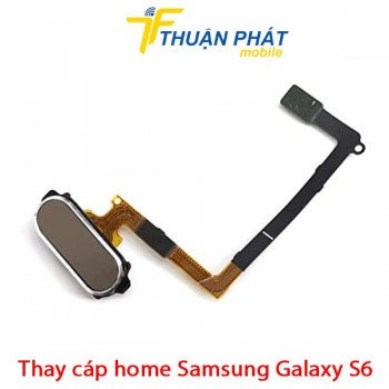 thay-cap-home-samsung-galaxy-s6