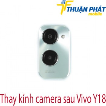 thay-kinh-camera-sau-Vivo-Y18