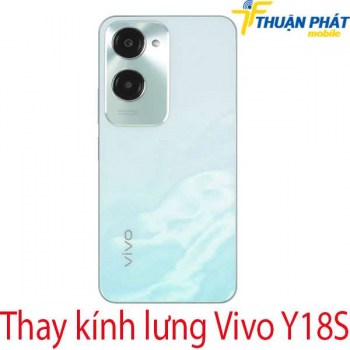 thay-kinh-lung-Vivo-Y18S