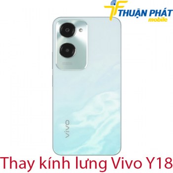 thay-kinh-lung-Vivo-Y18