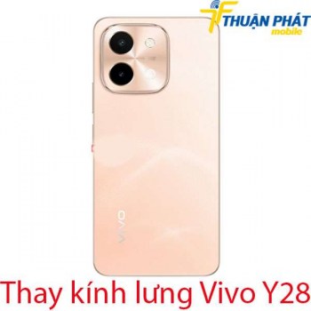 thay-kinh-lung-Vivo-Y28