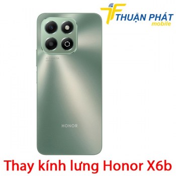 thay-kinh-lung-honor-x6b