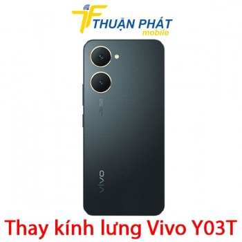 thay-kinh-lung-vivo-y03t