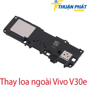 thay-loa-ngoai-Vivo-V30e