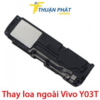 thay-loa-ngoai-vivo-y03t