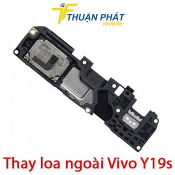 thay-loa-ngoai-vivo-y19s