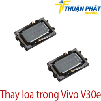 thay-loa-trong-Vivo-V30e