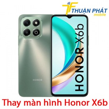 thay-man-hinh-honor-x6b