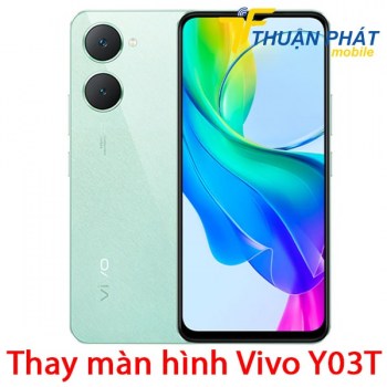 thay-man-hinh-vivo-y03t