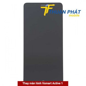 thay-man-hinh-vsmart-active-1