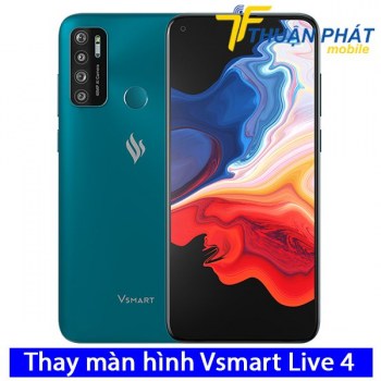 thay-man-hinh-vsmart-live-4