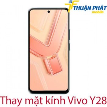 thay-mat-kinh-Vivo-Y28