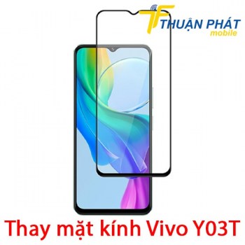 thay-mat-kinh-vivo-y03t