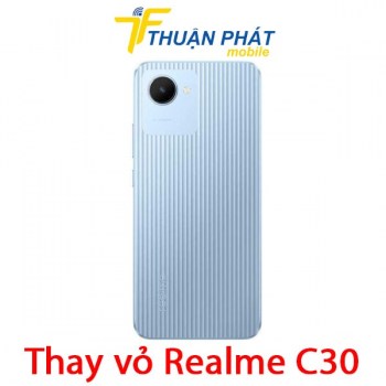 thay-vo-realme-c30