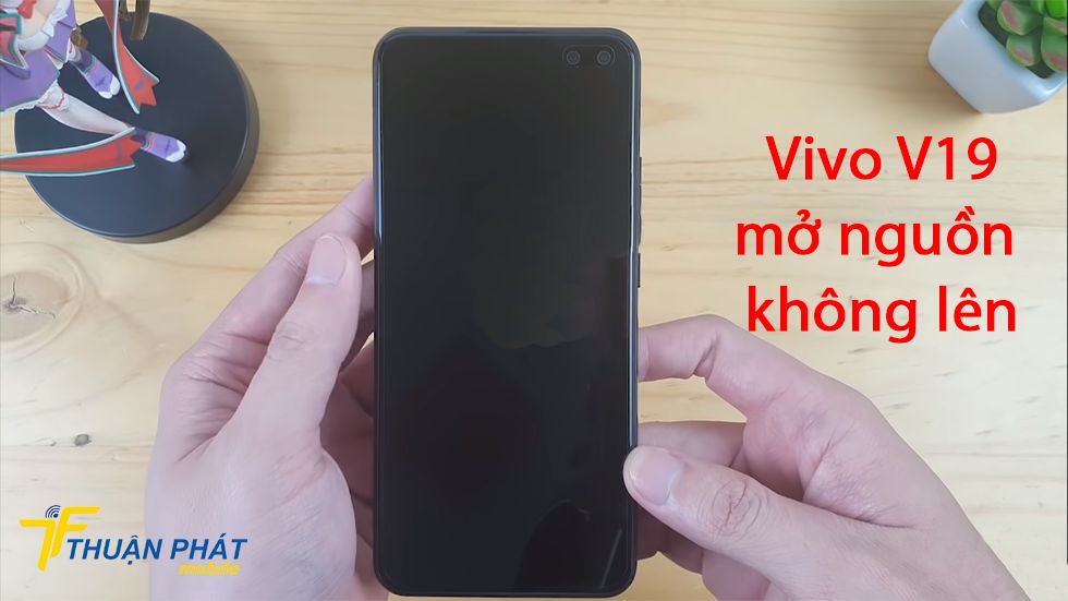 Vivo V19 mở nguồn không lên