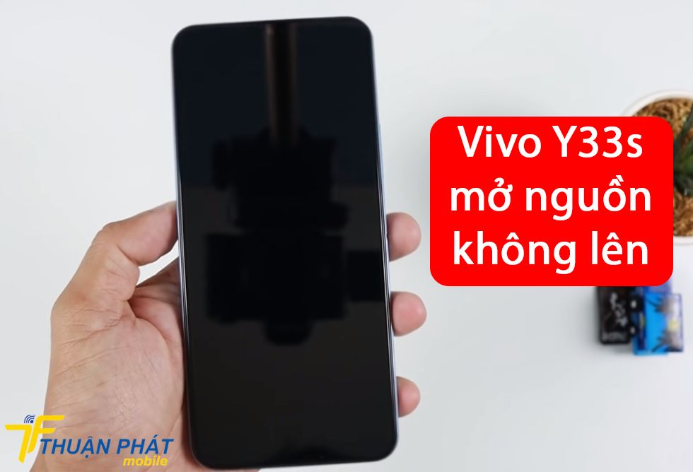 Vivo Y33s mở nguồn không lên